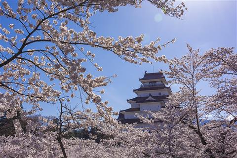 鶴ヶ城公園（春頃撮影／イメージ）